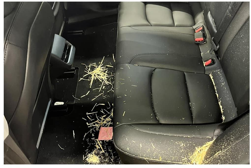 Tesla rear seats with aging and embedded straw material